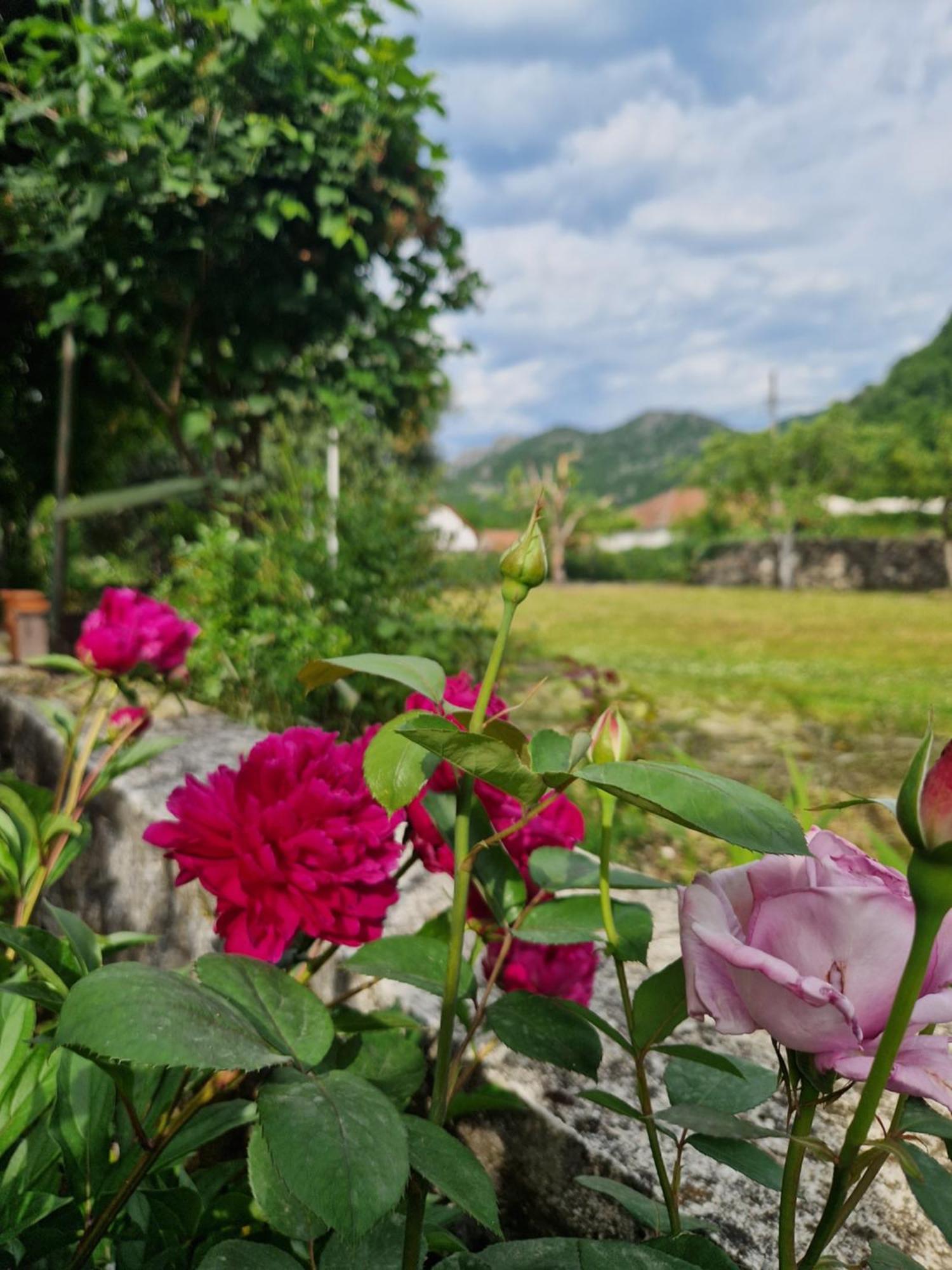 Ivan'S Holiday Home เวียร์ปาซาร์ ภายนอก รูปภาพ